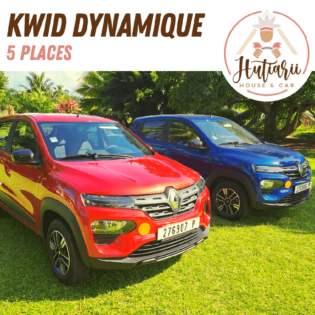 KWID DYNAMIQUE RENAULT